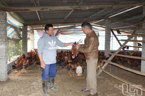 Giảm nghèo bền vững: Vẫn chuyện 'con cá, cần câu'