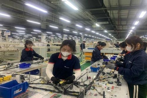 Thị trường lao động đầu năm sôi động