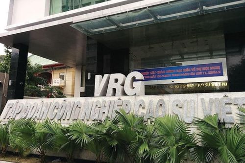 GVR đặt mục tiêu lợi nhuận 2024 tăng nhẹ, muốn bán vốn 8 đơn vị thành viên