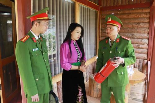Bình yên dưới mái nhà pơ mu