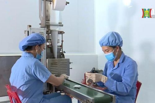 Cải thiện môi trường kinh doanh, doanh nghiệp cần thực chất
