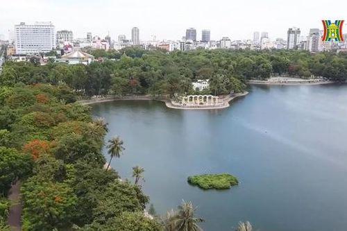 Tận hưởng không gian xanh trong Công viên Thống Nhất