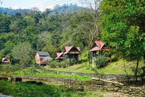 Khu du lịch suối nước khoáng bị bỏ hoang giữa rừng ở Hà Tĩnh