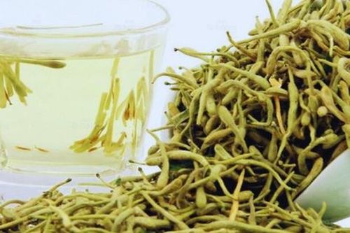 Chữa ngứa da theo đông y