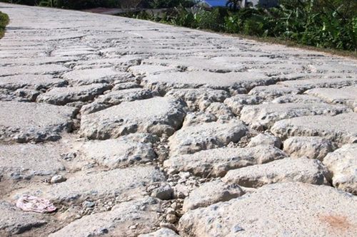 Huyện Phú Xuyên: Triển khai dự án 383 tỷ đồng cải tạo mặt đê sông Hồng