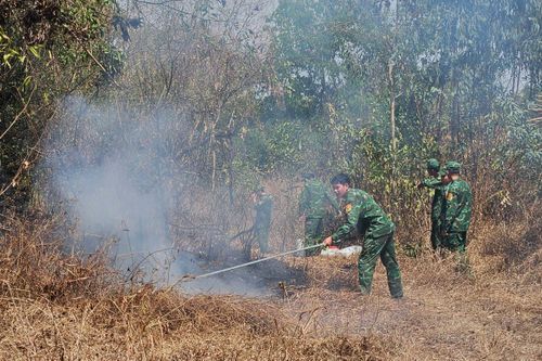 Khống chế thành công đám cháy vườn cây ăn quả