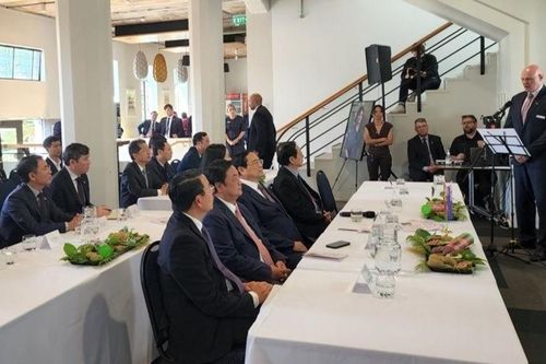 Phát triển, chiếm lĩnh những thị trường mới