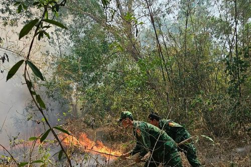 Đồn Biên phòng cửa khẩu quốc tế Tịnh Biên giúp người dân chữa cháy