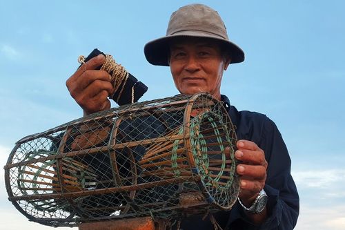 Thợ săn tiết lộ 'mồi độc' bắt loại đặc sản vạn người mê ở ven biển Cà Mau