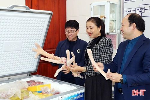 Ứng dụng KH&CN để khai thác tiềm năng nhung hươu Hà Tĩnh