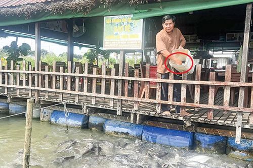 Anh nông dân thu lãi 7 tỷ/năm nhờ nuôi con đặc sản 'thích ở dưới nước'