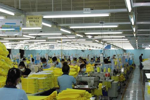 Giditex bị dừng làm thủ tục hải quan vì nợ thuế gần 100 tỷ đồng