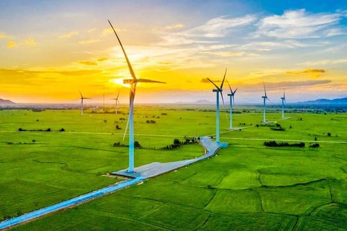 Lợi nhuận lao dốc, REE có đủ sức 'cầm cự' khi thị trường quay đầu?