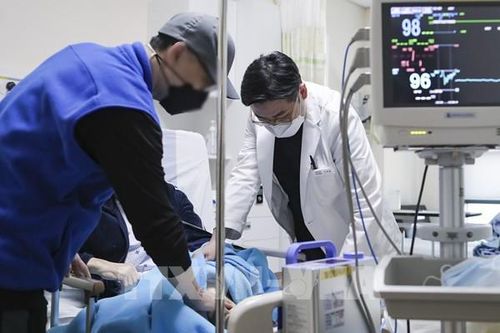 Sinh viên trường y Hàn Quốc nghỉ học hàng loạt phản đối tăng chỉ tiêu tuyển sinh
