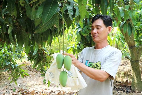 Tiếp sức cho hộ nghèo, cận nghèo phát triển kinh tế
