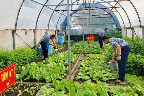 Vâng lời Bác dạy, quân và dân Trường Sa phủ xanh quần đảo