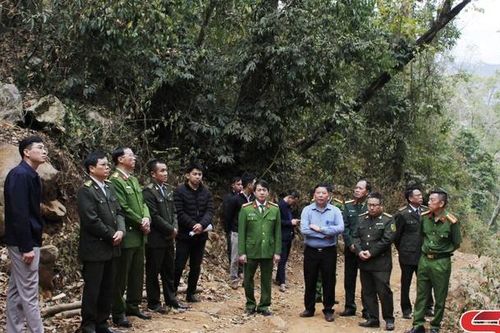 Kiểm tra công tác quản lý, bảo vệ rừng và PCCC rừng tại huyện Yên Châu
