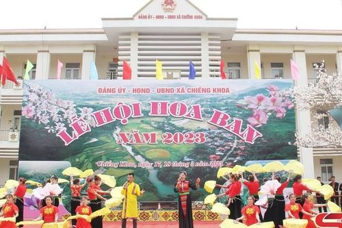 Lễ hội Hoa ban huyện Vân Hồ năm 2024 sẽ diễn ra từ ngày 15 – 17/3