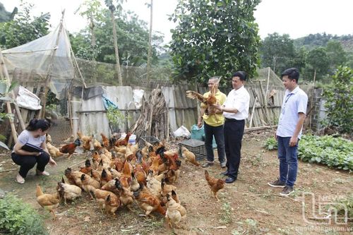 Triển khai tổng vệ sinh khử trùng, tiêu độc môi trường