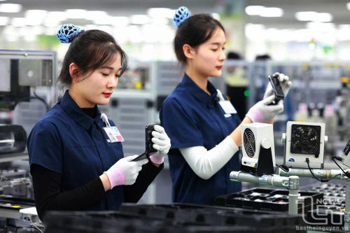 Thu ngân sách từ hoạt động xuất nhập khẩu tăng