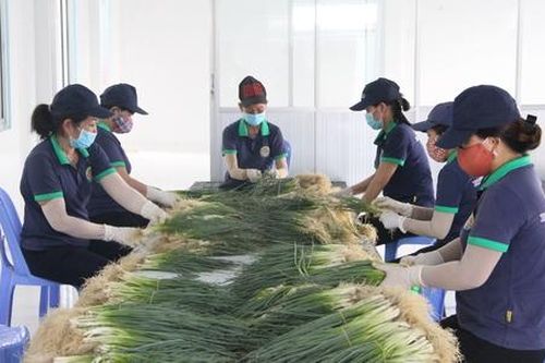 HTX trước bài toán chinh phục thị trường nội địa