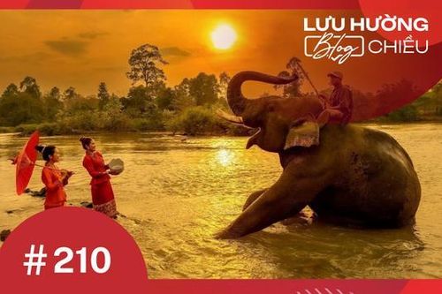 Buôn Đôn không chỉ có voi