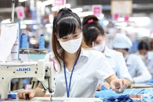 Doanh nghiệp dệt may bị dừng thủ tục hải quan do nợ thuế, có công ty nợ gần 100 tỉ đồng