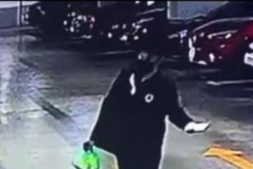 'Mắt thần' giúp bắt 2 'người nhện' thực hiện nhiều vụ trộm hàng tỷ đồng