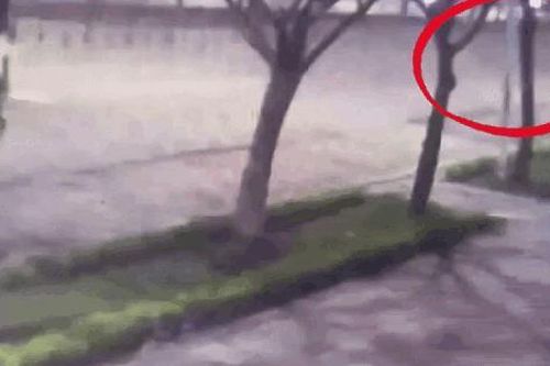 Khoảnh khắc xe máy va chạm trong đêm khiến 3 người thương vong ở Hà Nội