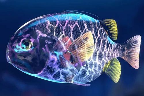 Loài cá giống như 'chiến binh' có khả năng phát sáng để săn mồi
