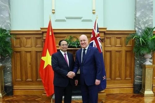 Tăng cường hợp tác Việt Nam - New Zealand