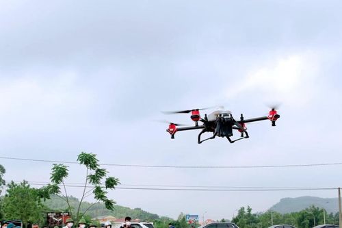 Quảng Ninh: Giải bài toán thu nhập từ nông nghiệp 'xanh'