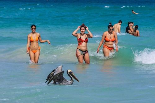Cảnh tượng lạ giữa kỳ nghỉ xuân 'khét tiếng' ở Miami Beach