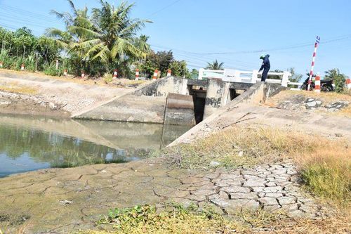 Tiền Giang: Quyết liệt triển khai các giải pháp phòng, chống hạn, mặn