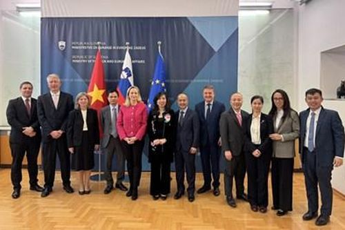 Tham vấn chính trị Việt Nam - Slovenia
