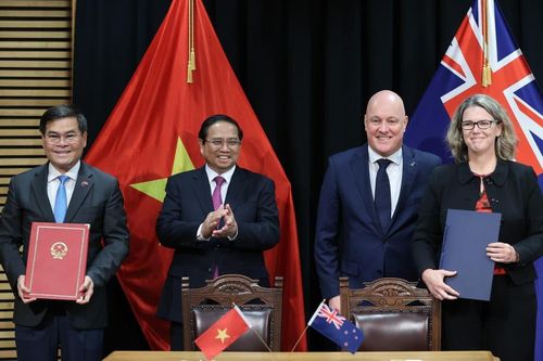 Thống nhất các phương hướng lớn thúc đẩy hợp tác Việt Nam - New Zealand
