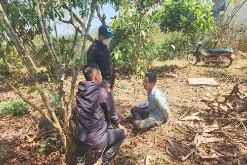 Đột kích bắt giữ đối tượng xâm hại tình dục trẻ em