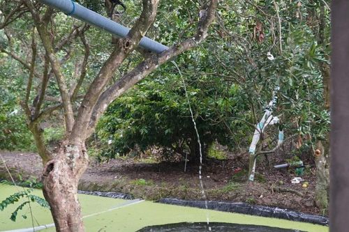 Bến Tre: Độ mặn 4‰ xâm nhập cách các cửa sông chính khoảng 69km