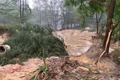 Biết gì về công ty Golf Quảng Trị khai thác đất cát trái phép