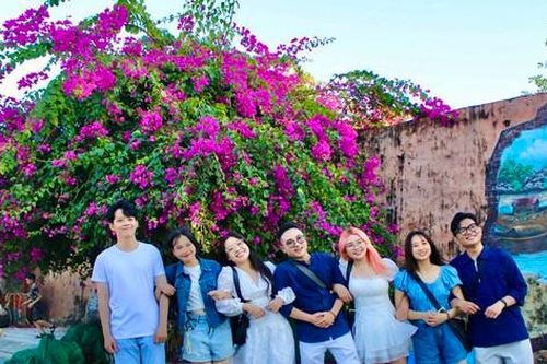 Giới trẻ thích thú check-in con đường hoa giấy rực rỡ ở Nha Trang