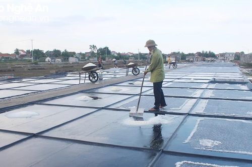 Diêm dân Nghệ An sẵn sàng vào vụ sản xuất mới