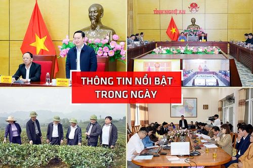 Nghệ An: Thông tin nổi bật 12/3