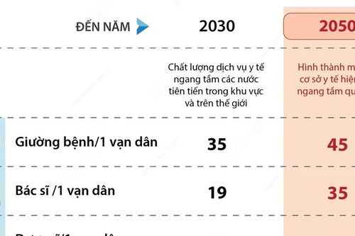 Việt Nam đặt mục tiêu hình thành một số cơ sở y tế hiện đại ngang tầm quốc tế
