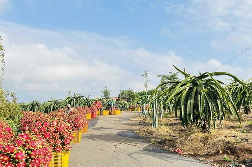 Argentina coi Việt Nam là thị trường quan trọng nhất trong ASEAN