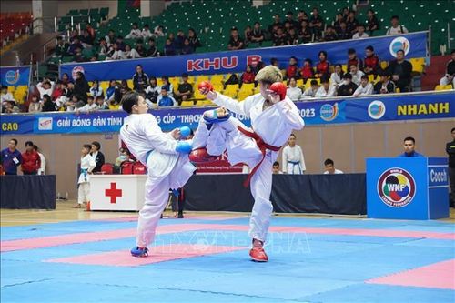 Trên 300 vận động viên tranh tài ở Giải vô địch Karate miền Bắc