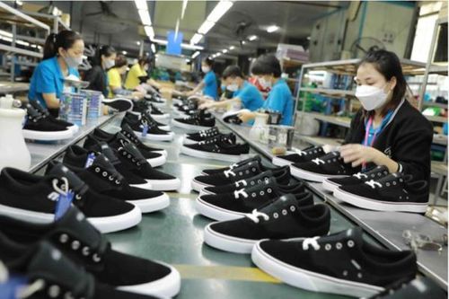 Thanh Hóa 'hút' đầu tư xây chuỗi giá trị da giày