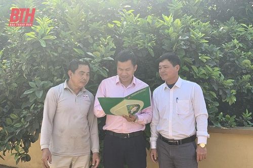 Góp phần xây dựng cơ sở hội ngày càng vững mạnh