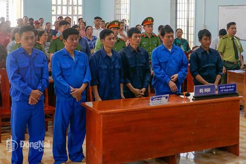 Hơn 20 năm tù cho 6 đối tượng săn bắt động vật rừng trái phép, chống người thi hành công vụ