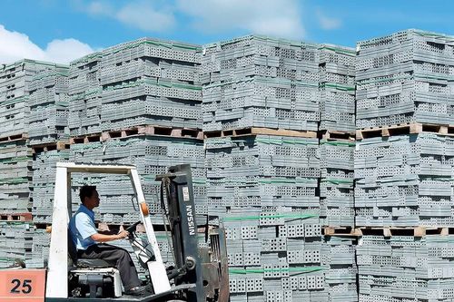 Xu hướng sử dụng vật liệu xanh thân thiện với môi trường
