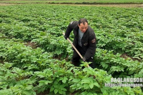 Anh Nghĩa làm giàu từ mô hình kinh tế tổng hợp